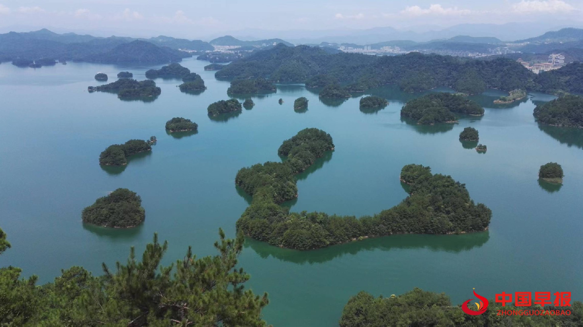 1649833784922252.jpg 1649833784922252.jpg