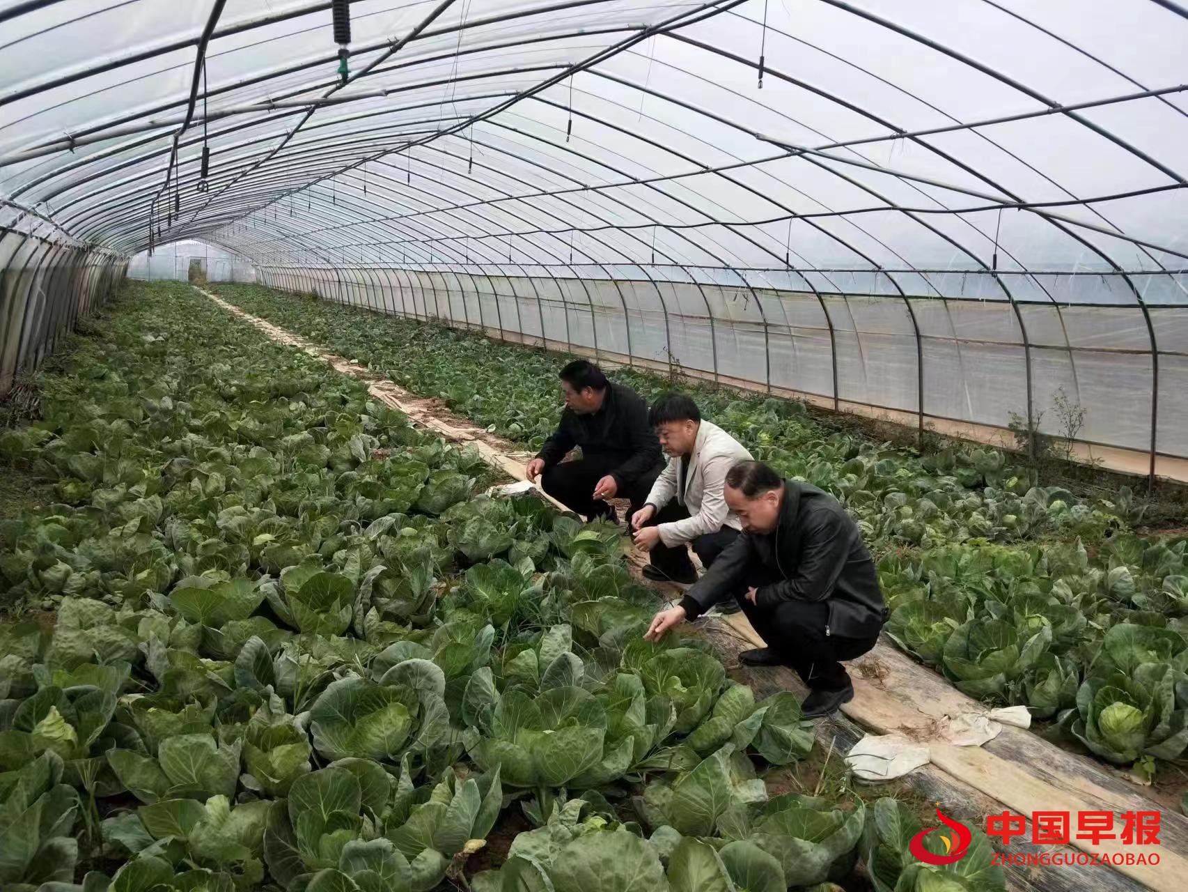 1651111346193605.jpg 图片05.jpg