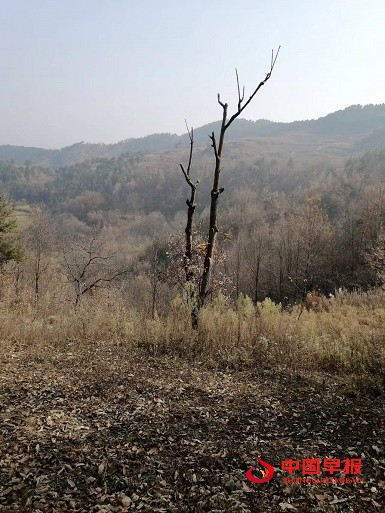 1651295173108472.jpg 1651295173108472.jpg