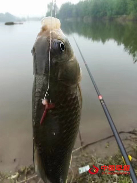 1651458286481061.jpg 1651458286481061.jpg