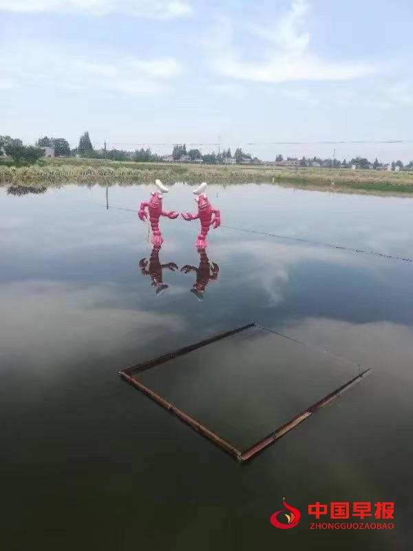 1651545111133897.jpg 1651545111133897.jpg