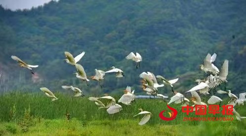 1652414112111492.jpg 1652414112111492.jpg