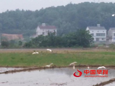 1652414170107147.jpg 微信图片_20220513113206.jpg