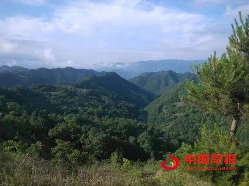 1652610822815980.jpg 微信图片_20220515175311.jpg