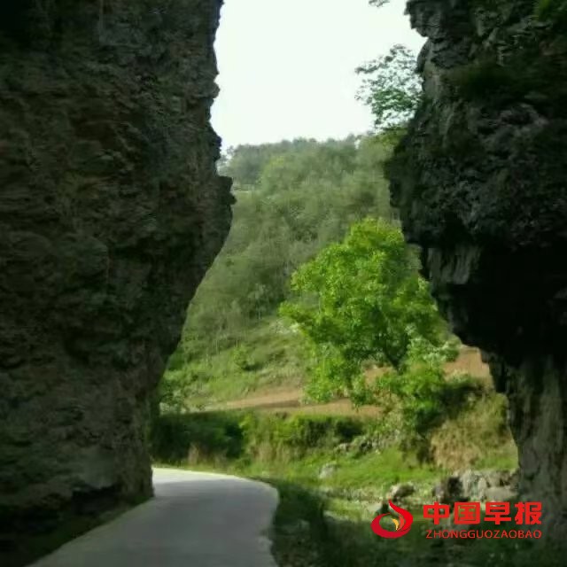 1652611222501896.jpg 1652611222501896.jpg