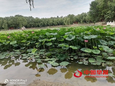 1657893286120455.jpg A6887929@98939067.A220D162.jpg_recompress.jpg