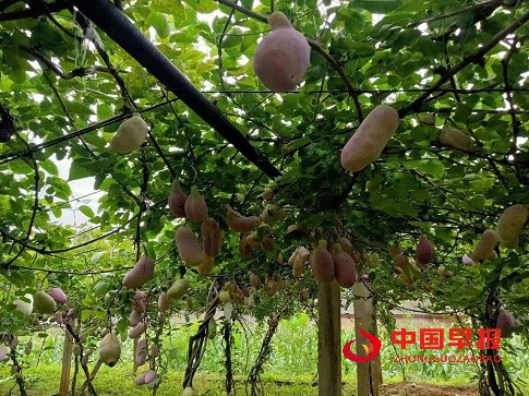 1663078357402102.jpg 微信图片_20220913220106.jpg