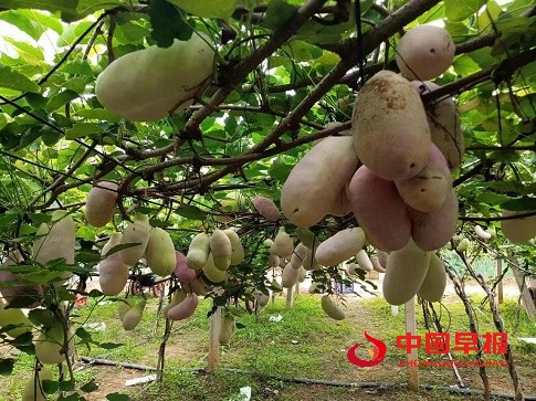 1663078432142913.jpg 微信图片_20220913220119.jpg