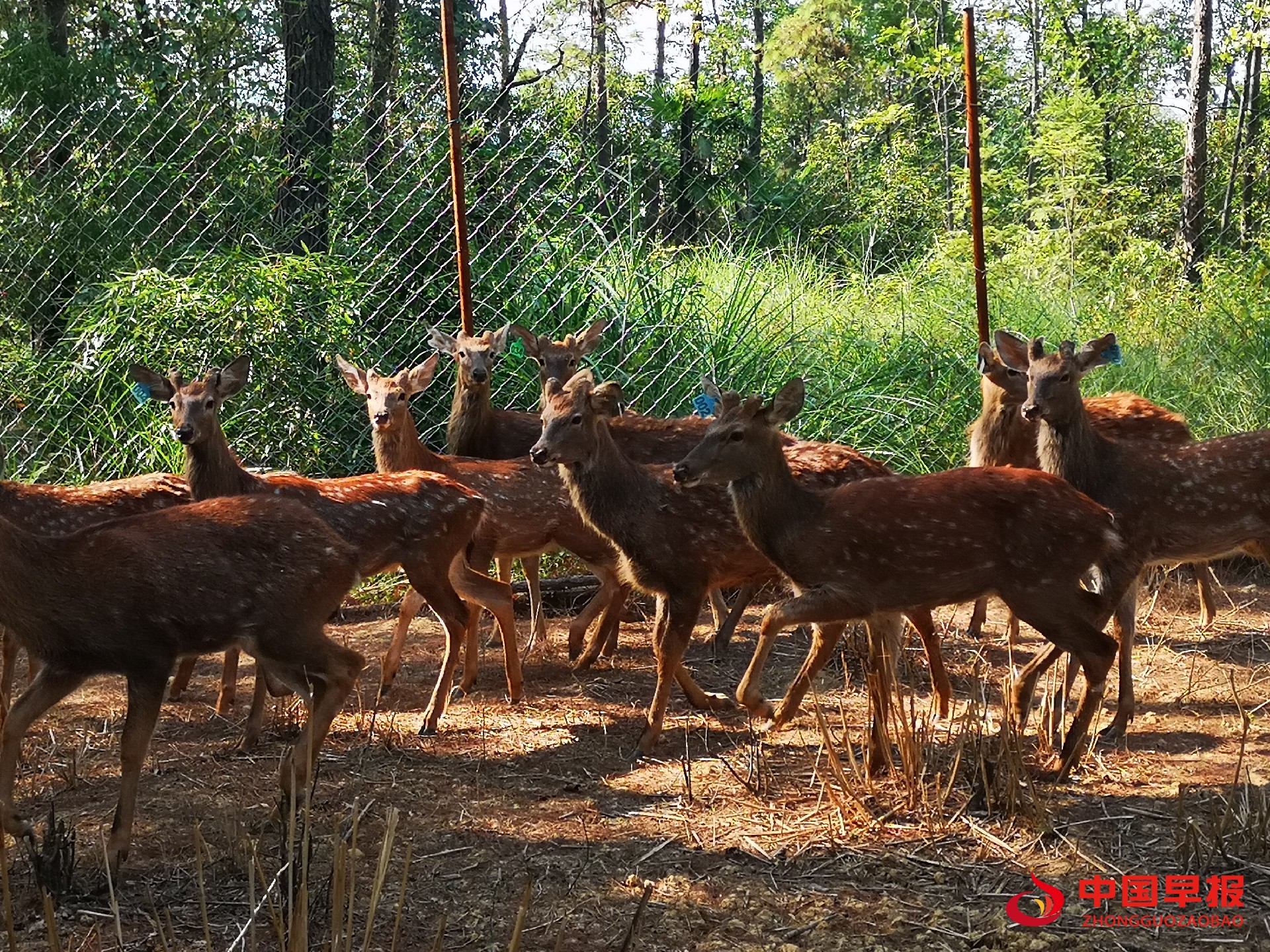 1664419936185004.jpg 1664419936185004.jpg