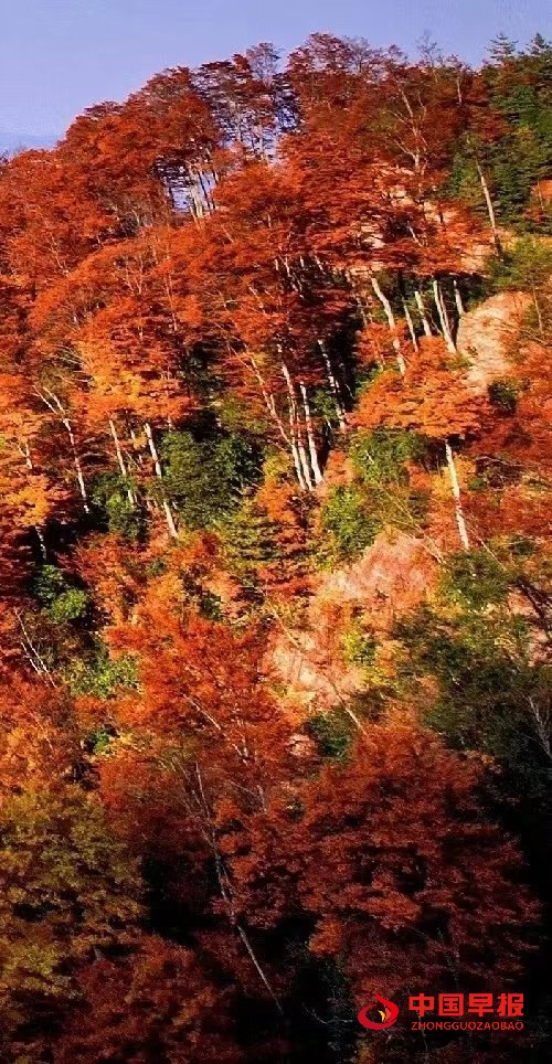 1664494944180910.jpg 1664494944180910.jpg