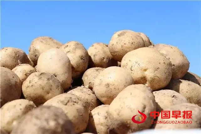 1665649688116569.jpg 照片01.jpg