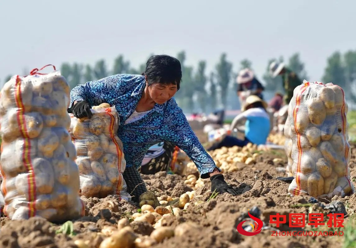 1665649819980763.jpg 照片03.jpg