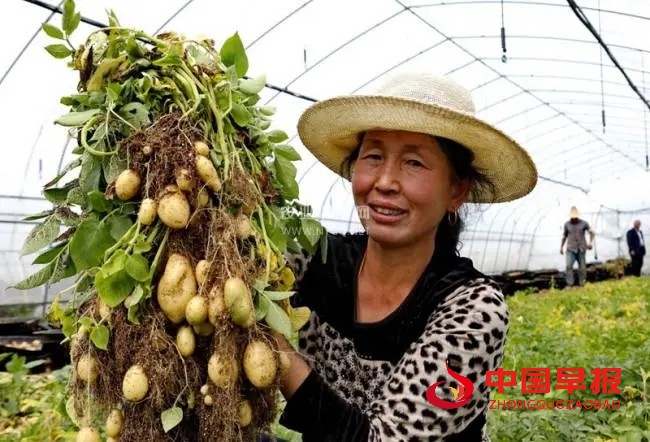 1665649974191789.jpg 照片05.jpg