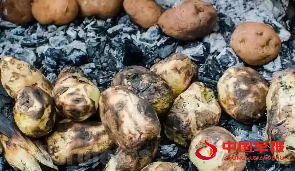 1665650137366985.jpg 照片06.jpg