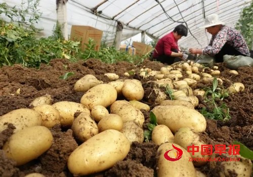 1665650229161225.jpg 照片08.jpg