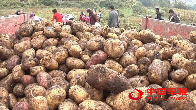 1665650501109122.png 图片010.png