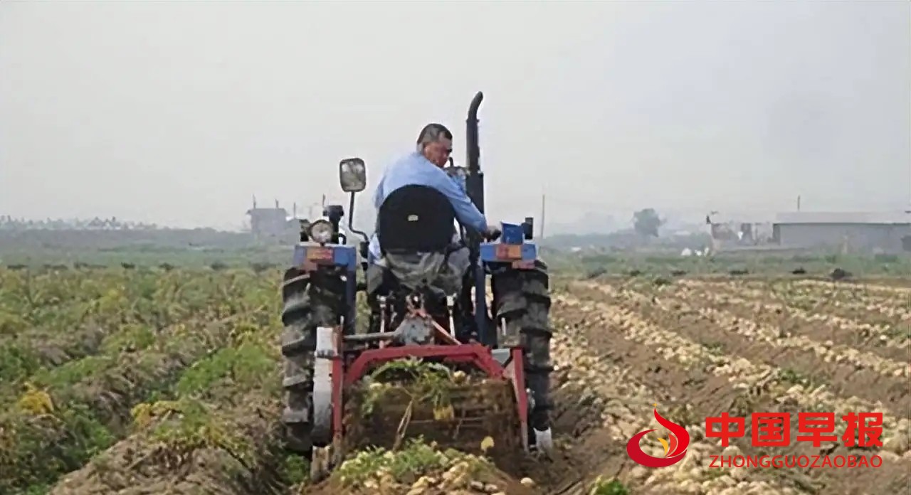 1665650538171555.jpg 照片011.jpg