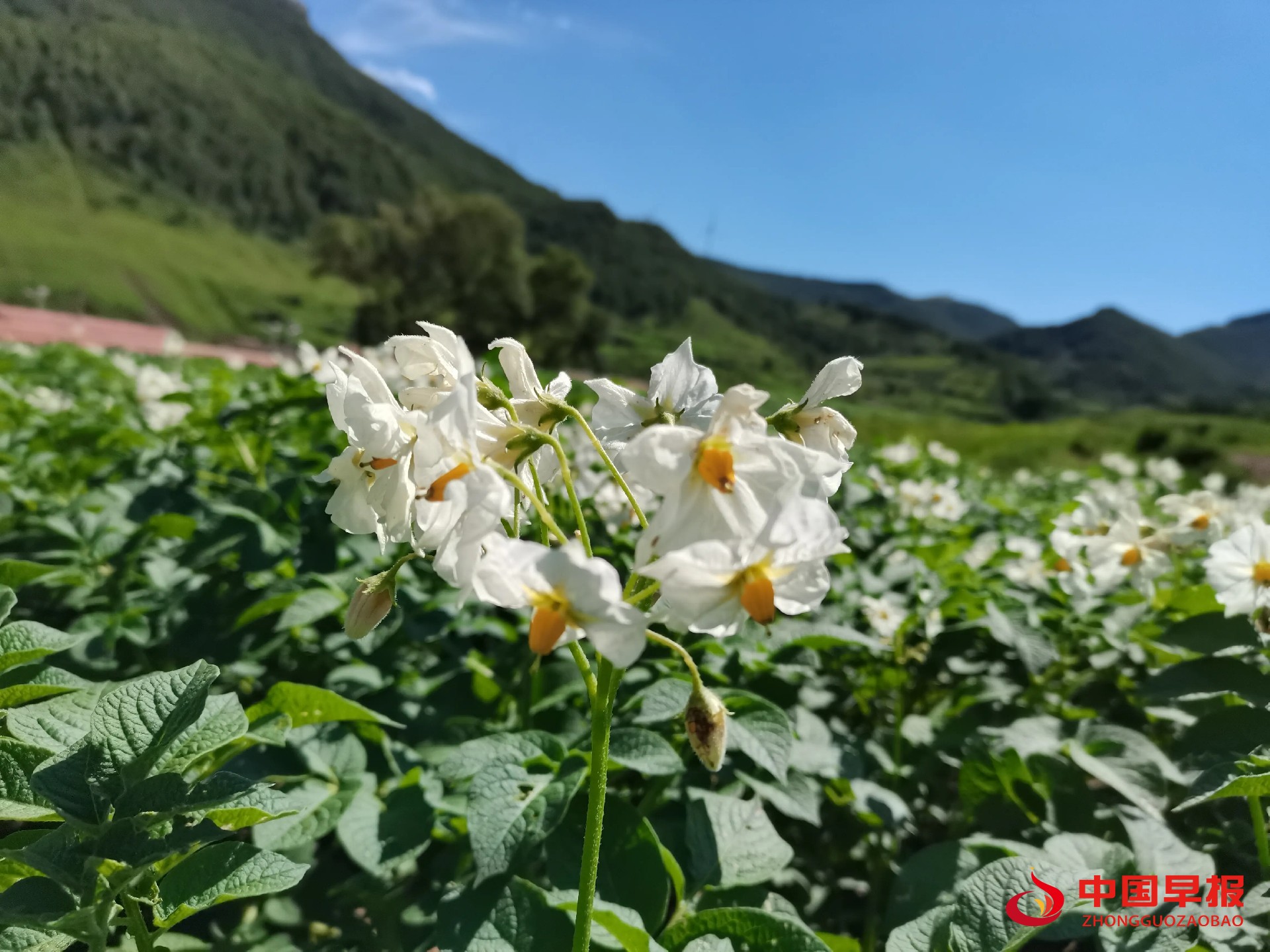 1665659308436530.jpg 图片00.jpg