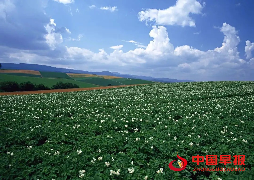 1665659379171297.jpg 图片02.jpg