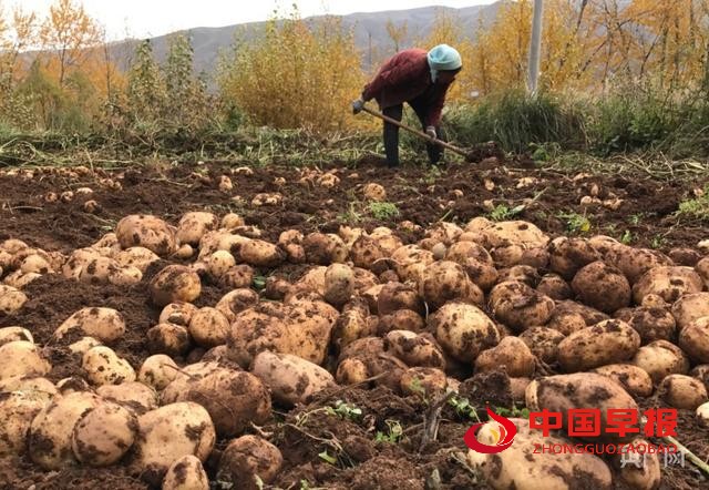 1665659589118901.jpg 图片09.jpg