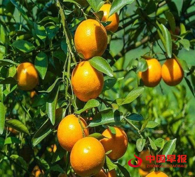 1665735109760026.jpg 图片01.jpg