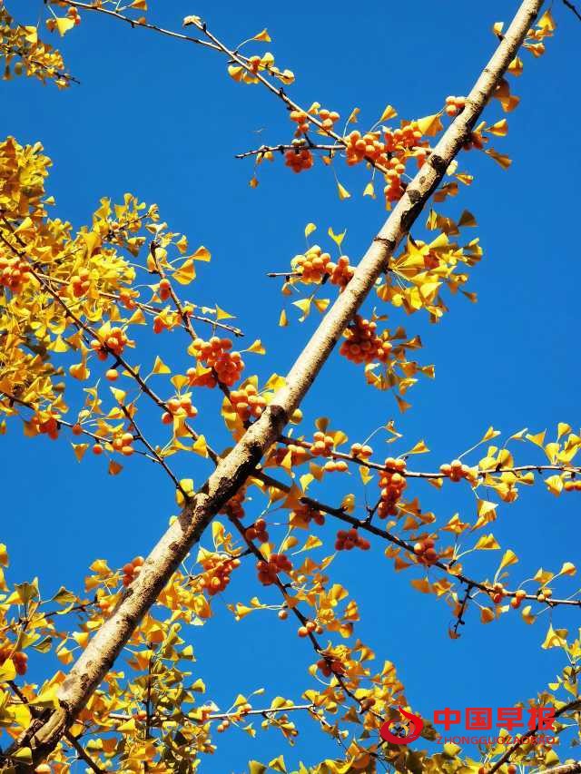 1665735190139758.jpg 图片03.jpg