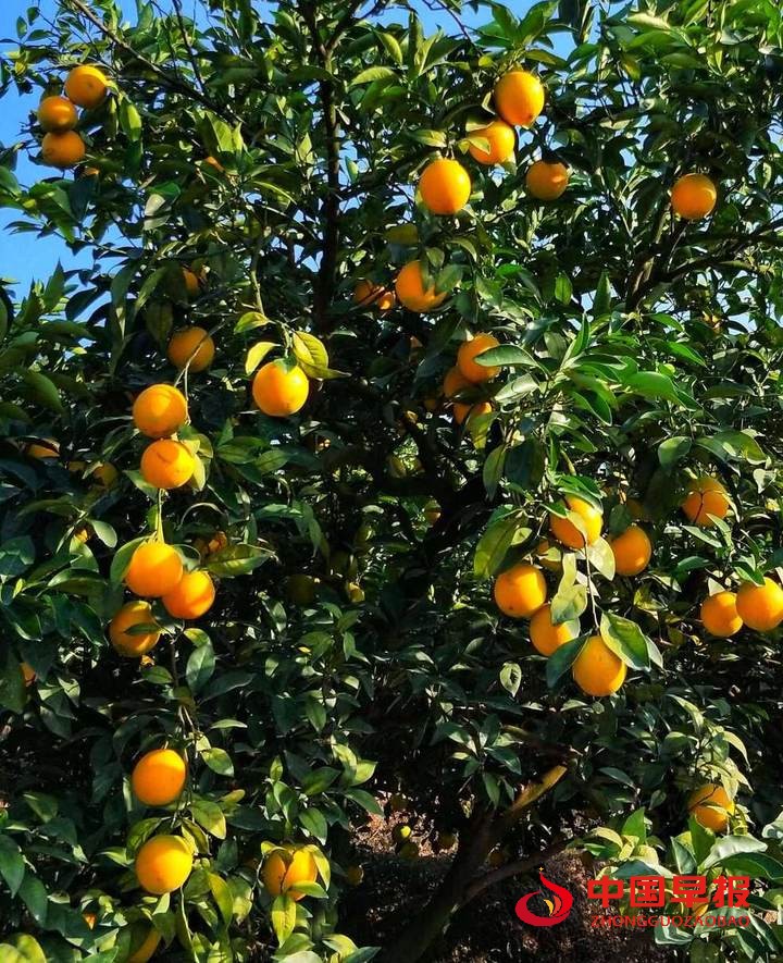 1665735509152231.jpg 图片09.jpg