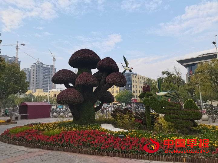 1666168974163075.png 图片02.png