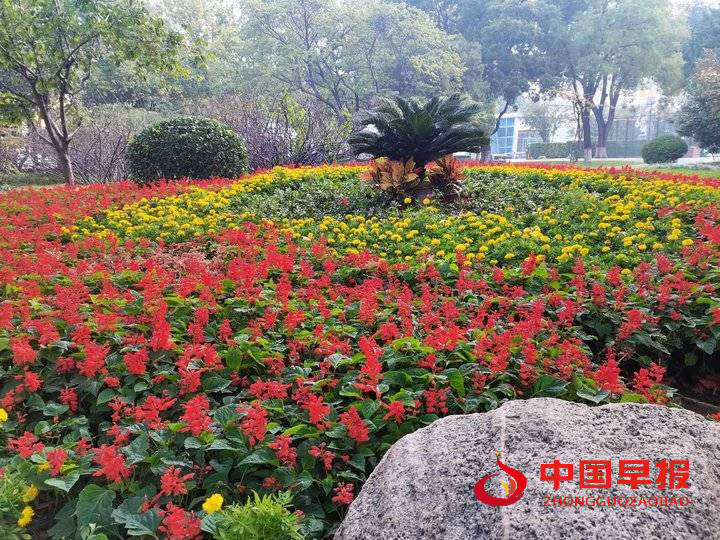 1666169051130470.png 图片03.png