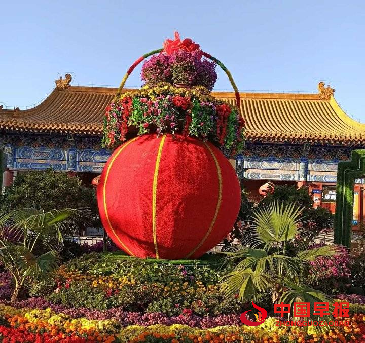 1666169162774619.png 图片05.png