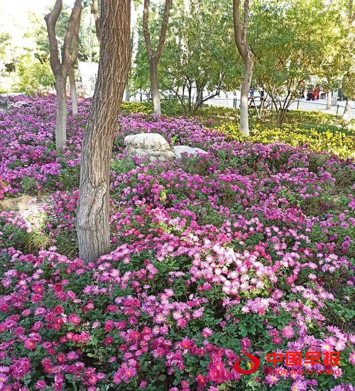 1666169303586951.png 图片08.png