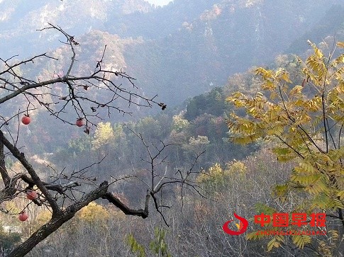 1668068723117992.jpg 微信图片_20221110161637.jpg