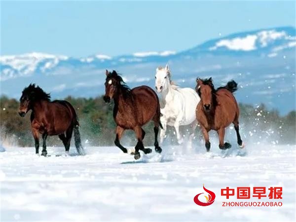 1669862711182336.jpg 99999.webp.jpg