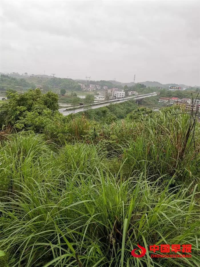 1673169484786816.jpg 777.jpg