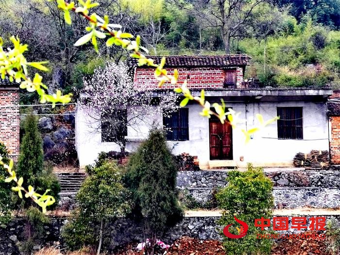 1675164956125607.jpg 111.jpg