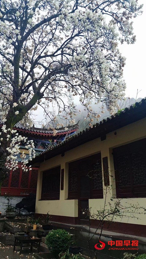 1679653554191608.jpg 1679653554191608.jpg