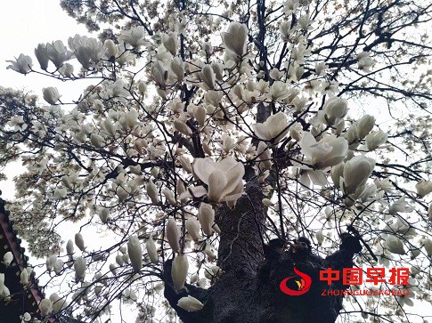 1679653656100615.jpg 微信图片_20230324182111.jpg