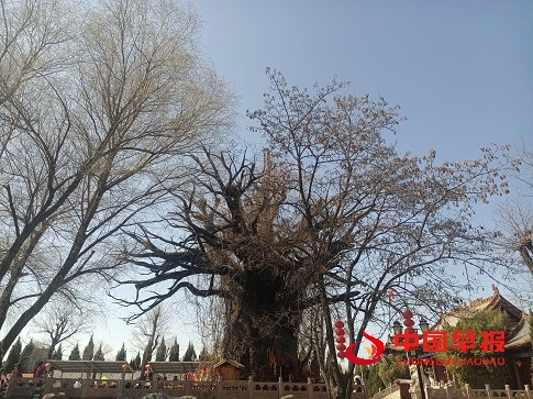 1679999790419963.jpg 微信图片_20230328181042.jpg