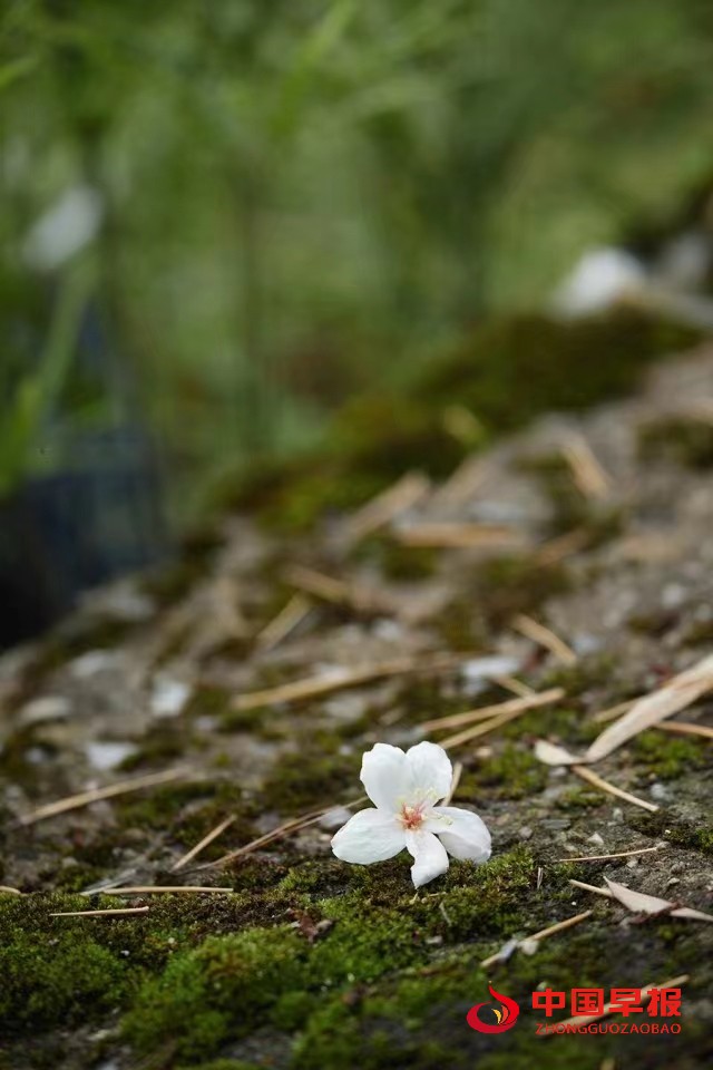 1682670020196721.jpg 微信图片_20230428155641.jpg