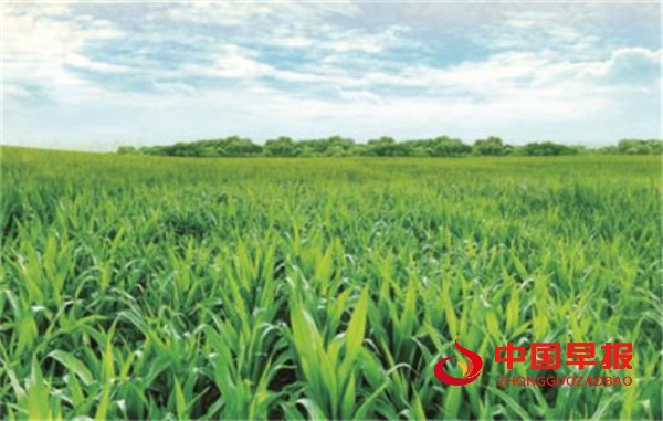 1683181346114554.jpg 1683181346114554.jpg