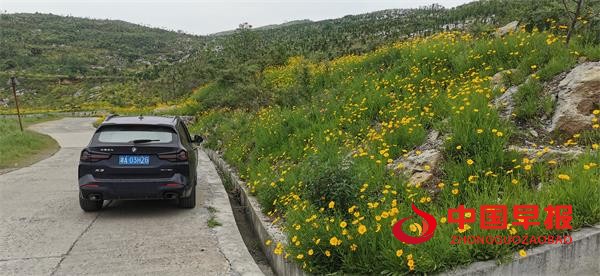 1684409671138709.jpg 555.jpg