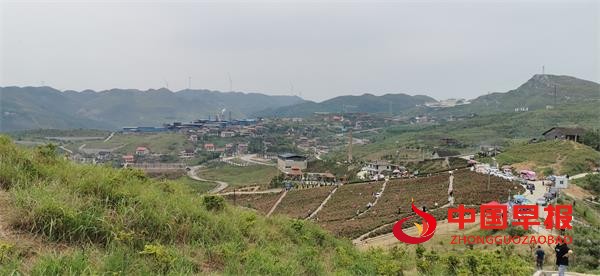 1684409683191892.jpg 6666.jpg