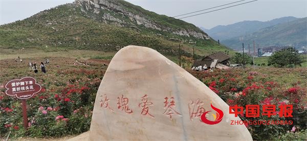 1684409708200253.jpg 777.jpg