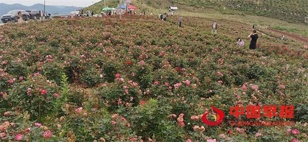 1684409730625062.jpg 999.jpg