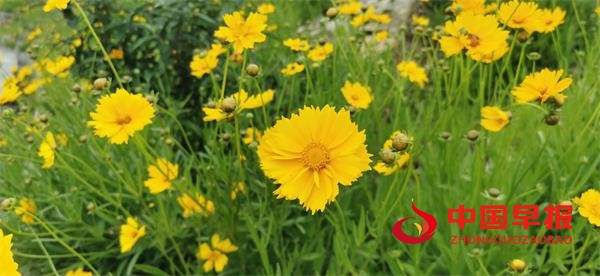 1684409761683862.jpg 1010.jpg