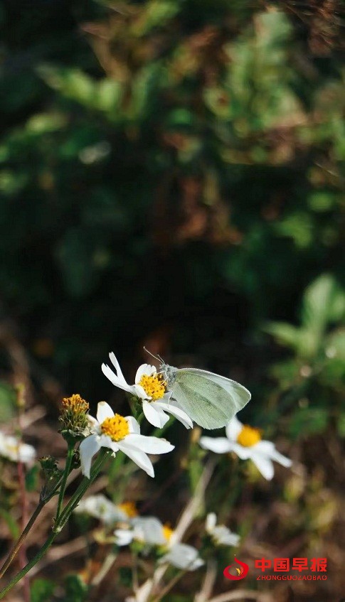 1685515609169428.jpg 微信图片_20230531143814.jpg