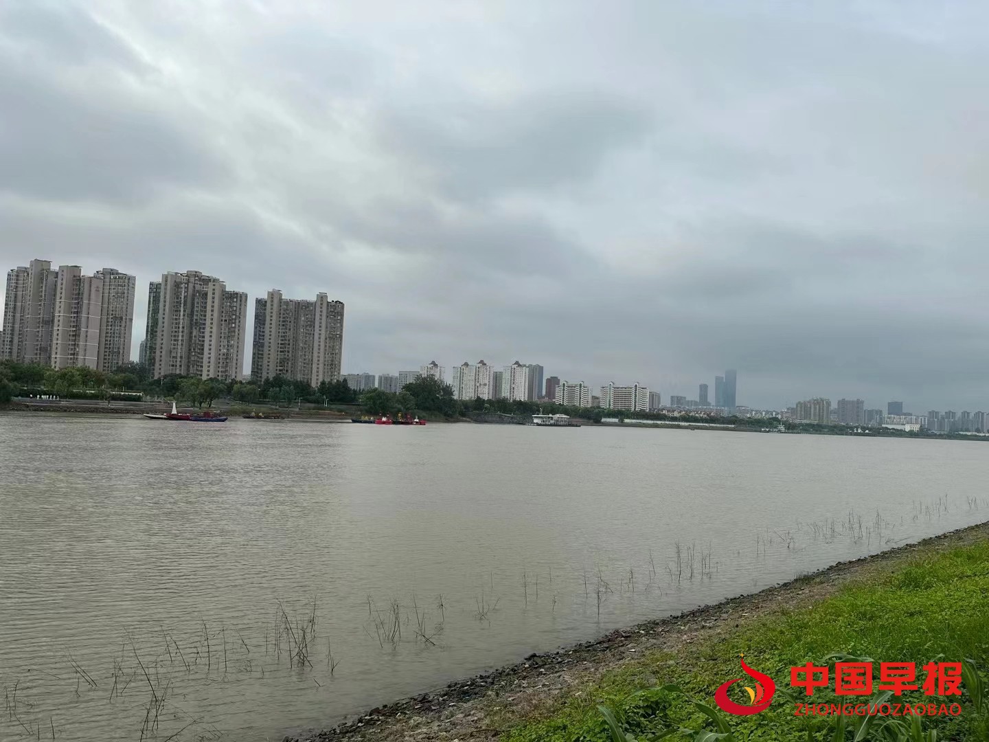 1690502262729522.jpg 1690502262729522.jpg