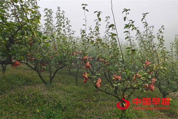 1697008801180951.jpg 1111.jpg