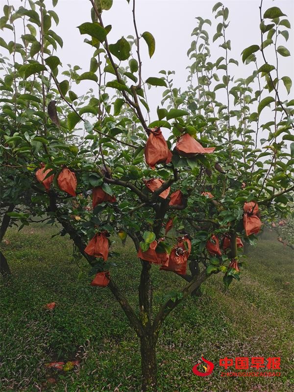 1697008819529827.jpg 2222.jpg