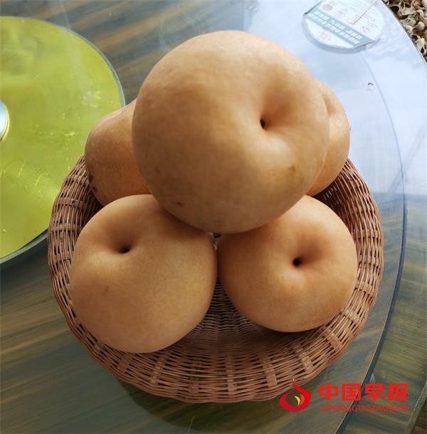 1697008860195844.jpg 3333.jpg